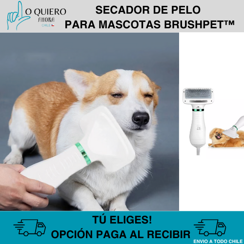 Secador Cepillo Pelo Mascotas 2 En 1  BrushPet™